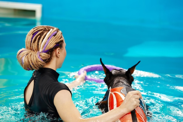 Dog in life jacket swim in the swimming pool with coach Pet rehabilitation Recovery training prevention for hydrotherapy Pet health care