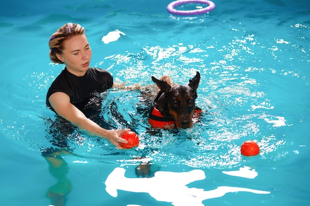 Dog in life jacket swim in the swimming pool with coach Pet rehabilitation Recovery training prevention for hydrotherapy Pet health care