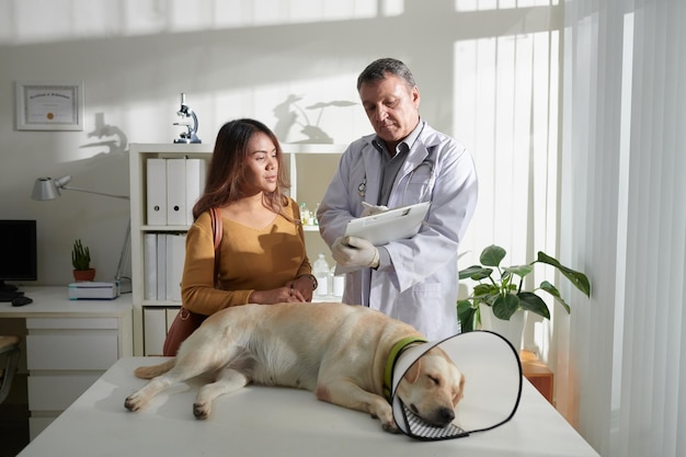 Dog Owner Visiting Veterinarian