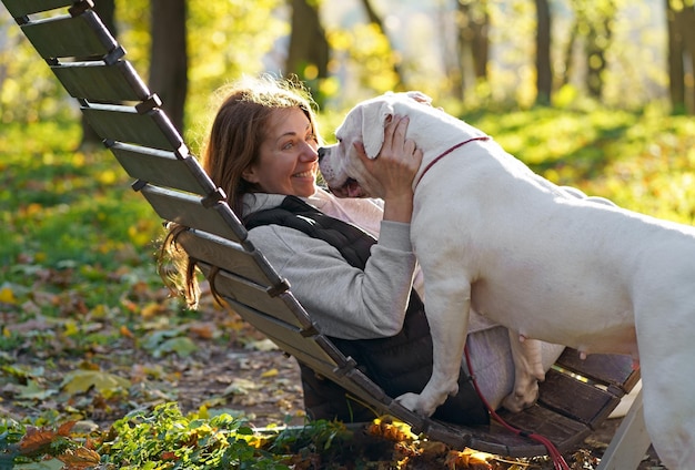 The dog plays with the mistress in the park Closeup of a woman in a jacket and an American bulldog dog playing among the yellow autumn leaves in the park