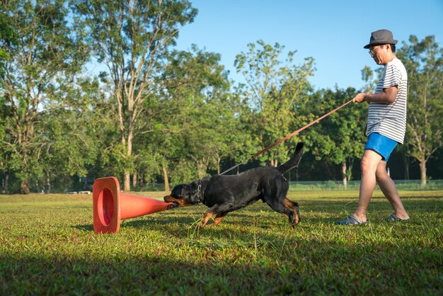 Dog showing excitement and aggression