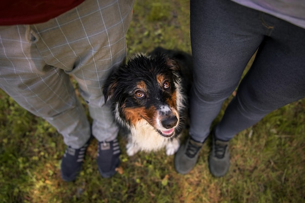 A dog sits between people on the grass