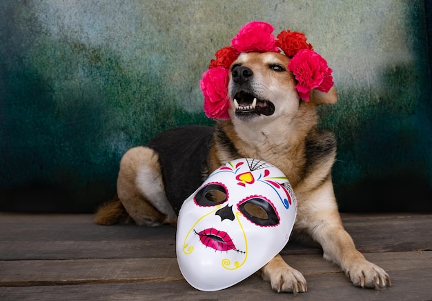 Dog with flower crown and calaca for the day of the dead