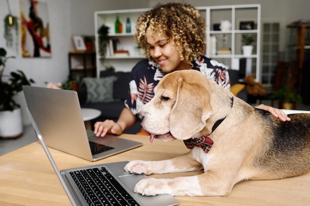 Photo dog working on laptop with owner