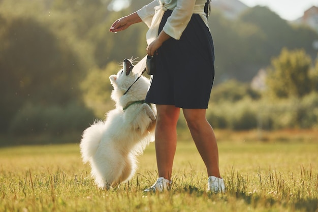 Doing some tricks Woman with her dog is having fun on the field at sunny daytime