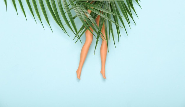 The doll's legs are covered with palm leaves on blue background Minimalism