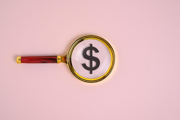 Dollar symbol under a magnifying glass on pink background