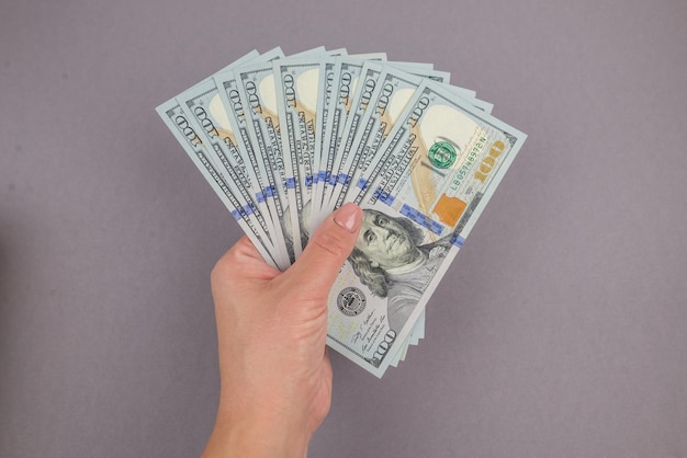 Dollars in a female hand on a gray background