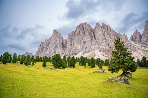 Dolomite landscape in Puez Odle Nature Park view from alpine plateau with green meadows Italy