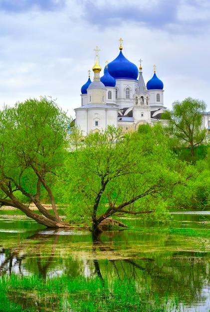 Domes of the Bogolyubov Monastery