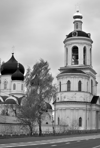 Domes of the Bogolyubov Monastery