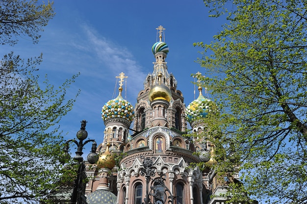 Domes of Orthodox Church of the Savior on blood in St. Petersburg