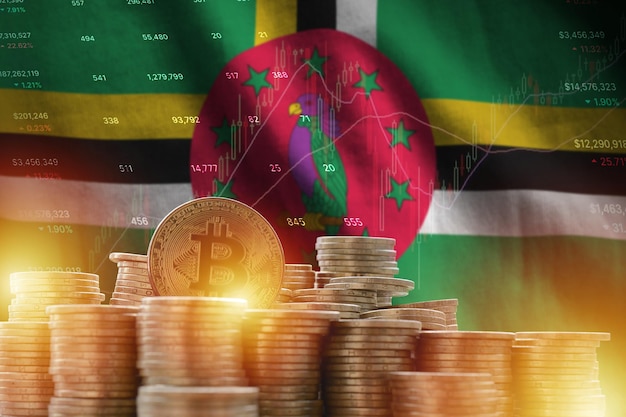 Dominica flag and big amount of golden bitcoin coins and trading platform chart Crypto currency