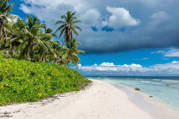 Dominican Republic beautiful Caribbean coast with turquoise water and palm trees