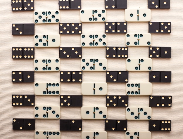 Domino pieces in black and white