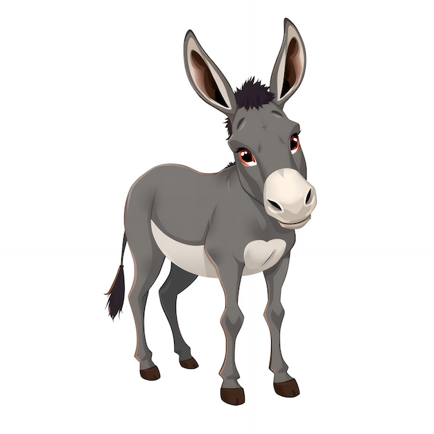 Photo donkey isolated on white background