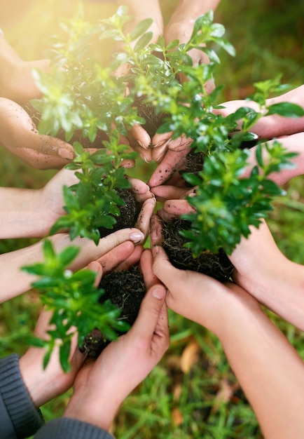 Dont grow apart grow together Cropped shot of a group of people holding plants growing out of soil