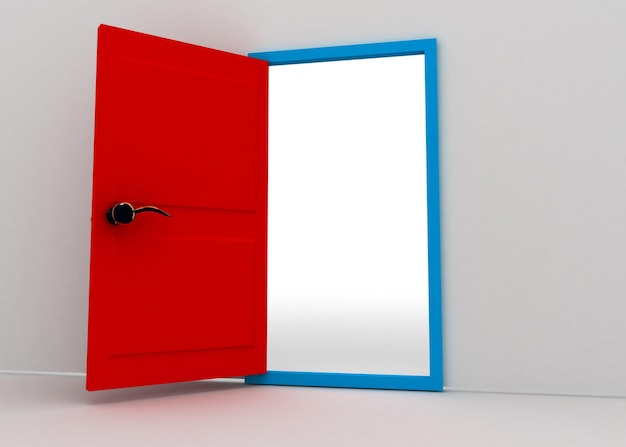 Door concept