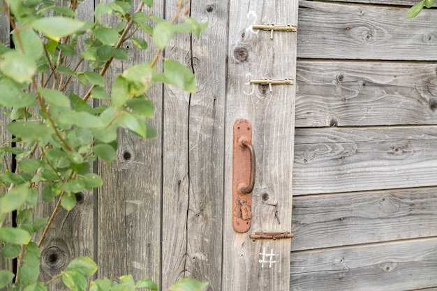 Door of an old wooden shed or toilet with a rusty doorknob and three latches next to tree in village