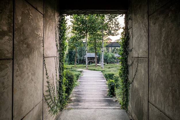 Door opened with nature surrounding and sun light