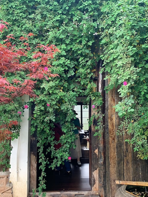 A doorway with a red tree in the background