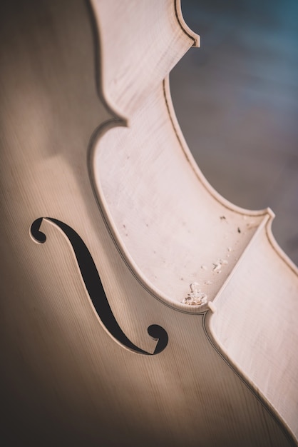 Double bass in unvarnished construction