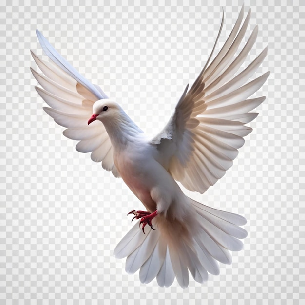 Photo dove flying isolated on transparent background