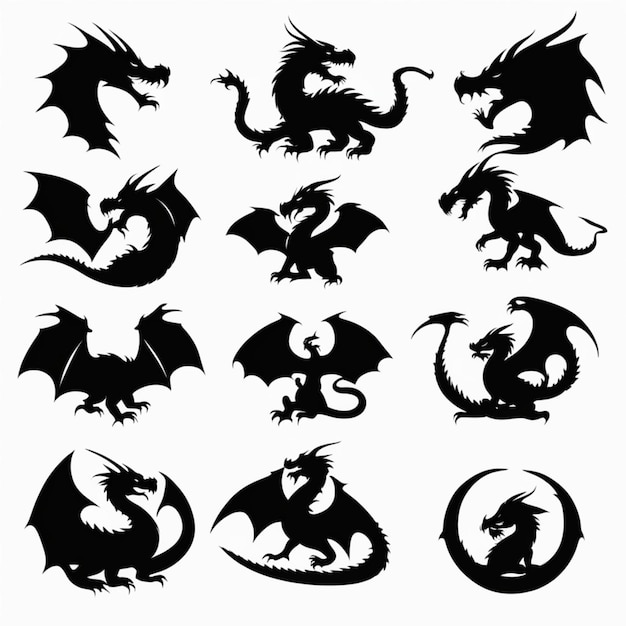 Photo dragonthemed icons in black and white