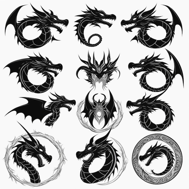 Photo dragonthemed icons in black and white