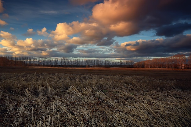 dramatic autumn landscape field sky abstract concept sadness