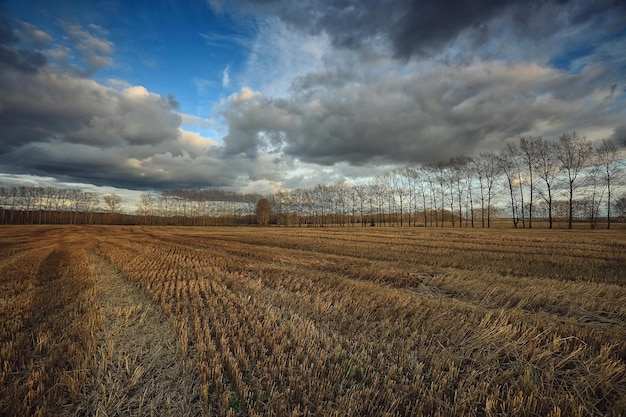 dramatic autumn landscape field sky abstract concept sadness