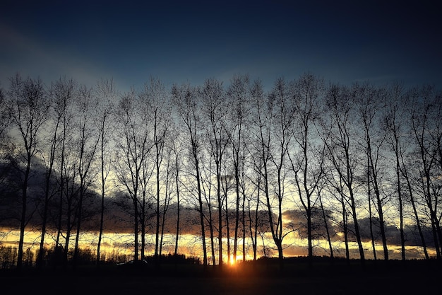 dramatic autumn landscape field sky abstract concept sadness