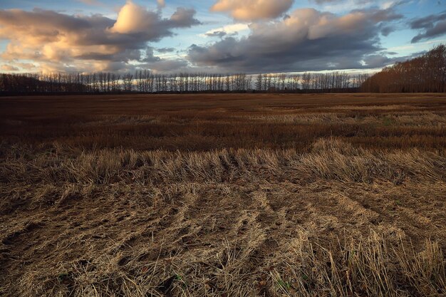 dramatic autumn landscape field sky abstract concept sadness