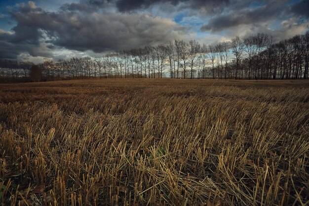 dramatic autumn landscape field sky abstract concept sadness