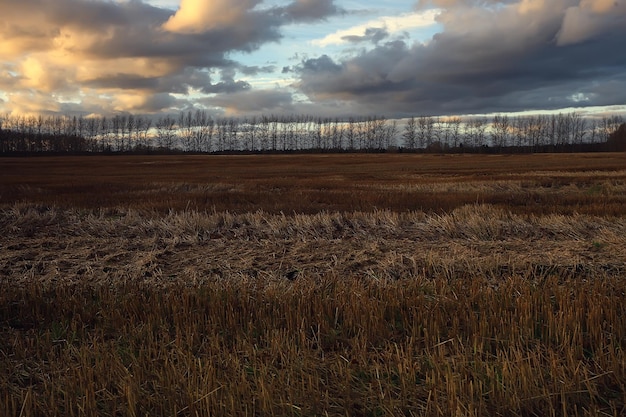 dramatic autumn landscape field sky abstract concept sadness