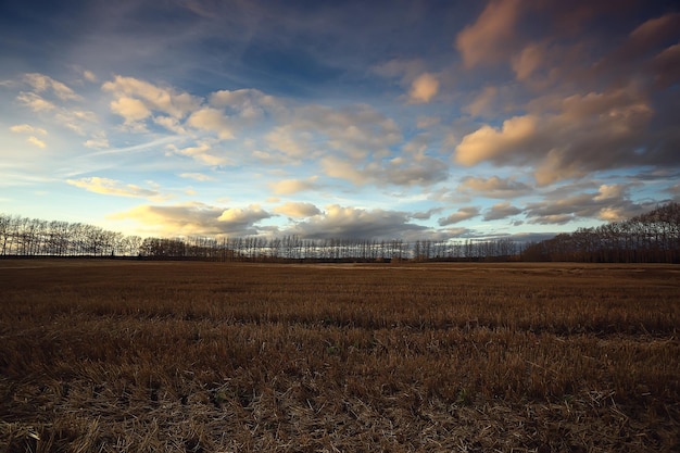 dramatic autumn landscape field sky abstract concept sadness