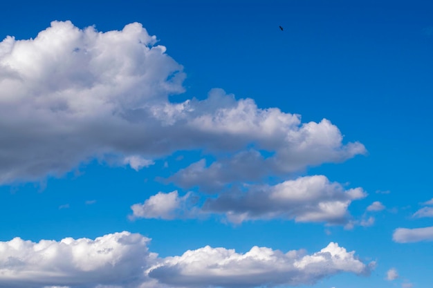 Dramatic blue sky and warm light clouds at sunrise time