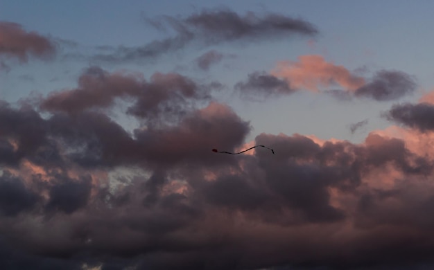 Photo dramatic clouds in the blue sky in the morning the rising sun rays hitting the clouds