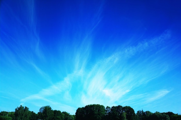 Dramatic clouds over summer forest in park