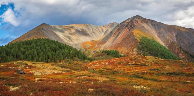 Dramatic golden light and shadow on the rock in autumn steppe Highaltitude plateau Atmospheric autumn mountain landscape Panoramic landscape with the edge of a coniferous forest and mountains