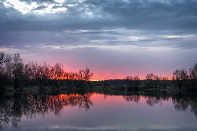 Photo dramatic pink sunset at forest lake with bare trees silhouette on horizon