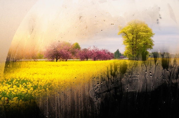 dramatic skies and agricultural fields