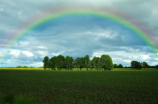 dramatic skies and agricultural fields