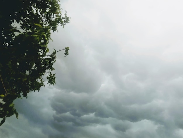 Dramatic sky in dark thick rain clouds filled with rain