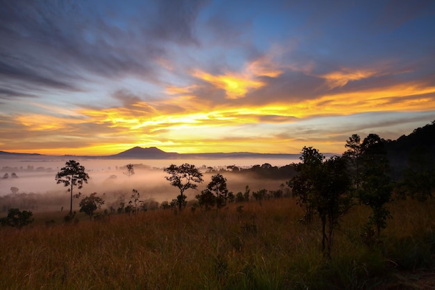 Dramatic sky and misty morning sunrise at Thung Salang Luang National Park PhetchabunThailand