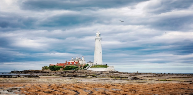 Dramatic sky above St. Mary's Lighthouse. Low tide and seagull. Summer seascape. Whitley Bay, England. UK