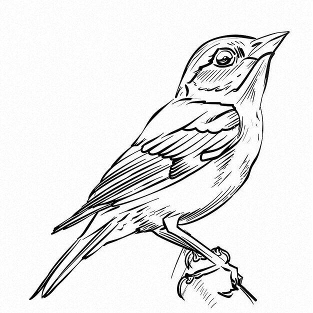 Photo a drawing of a bird that is black and white