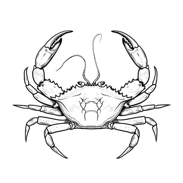 a drawing of a crab with a lobster head on it