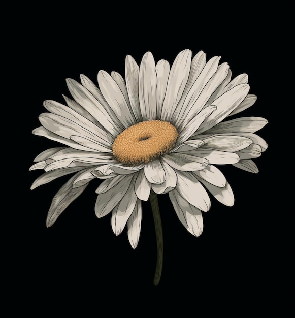 A drawing of a daisy with a yellow center