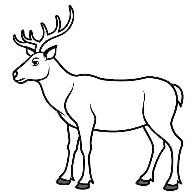 a drawing of a deer with a white background that says quot deer quot